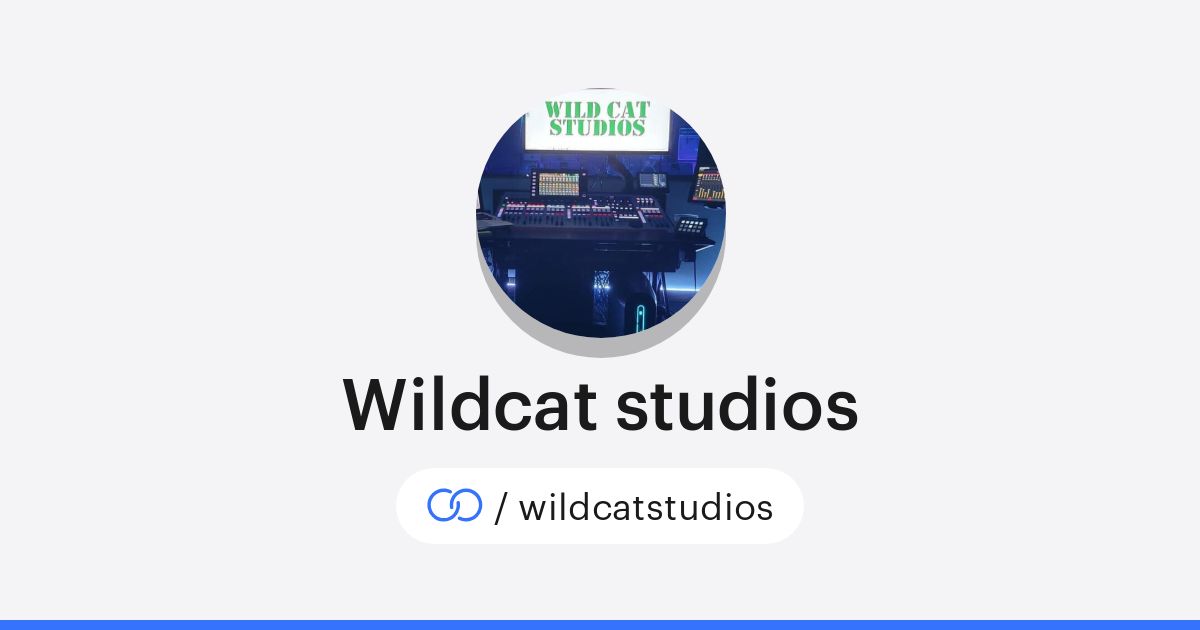 Wildcat studios (/wildcatstudios) · solo.to