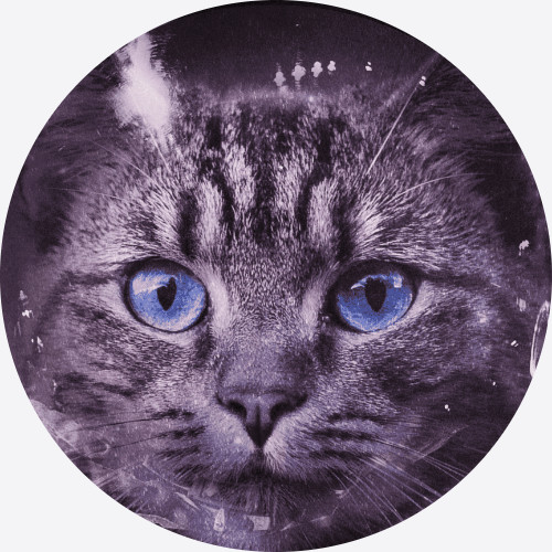SoloTo profile picture for @booking