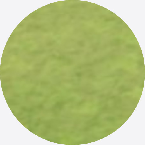 SoloTo profile picture for @surf