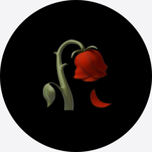 SoloTo profile picture for @roses