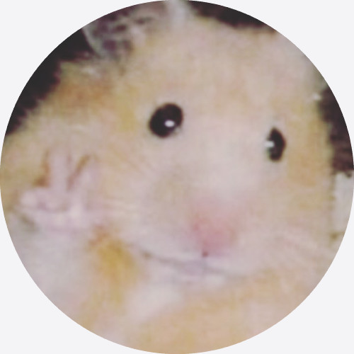 SoloTo profile picture for @irene