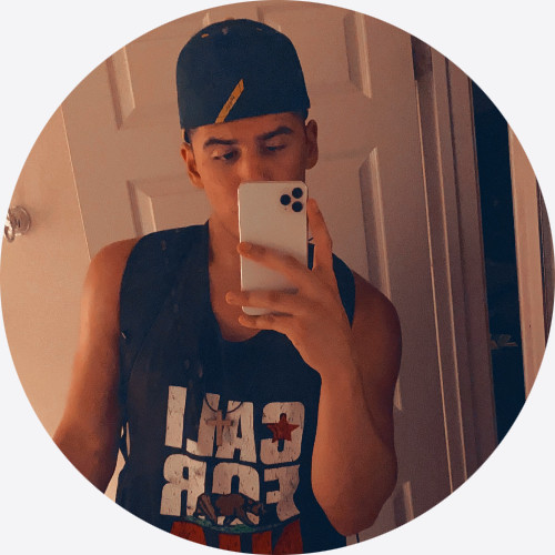 SoloTo profile picture for @seagull