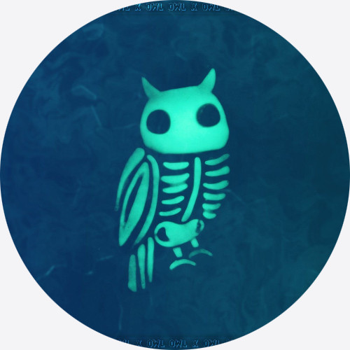 SoloTo profile picture for @owl