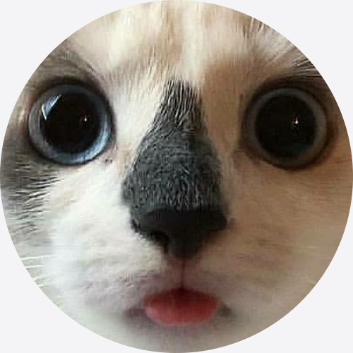 SoloTo profile picture for @cats