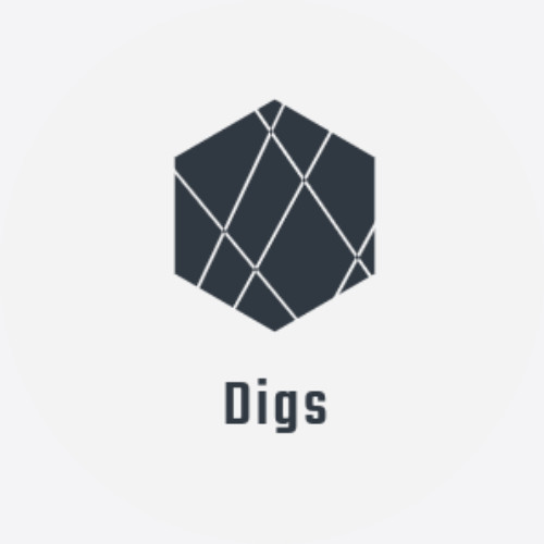 SoloTo profile picture for @digs