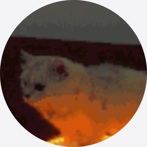 SoloTo profile picture for @coco