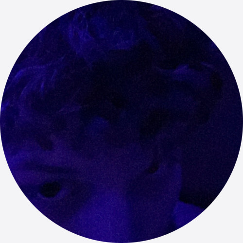 SoloTo profile picture for @cd