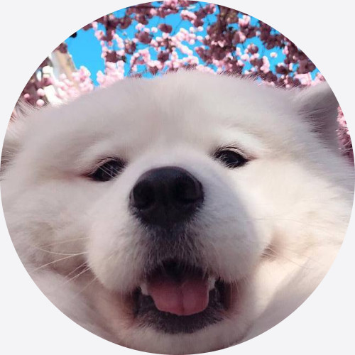 SoloTo profile picture for @california