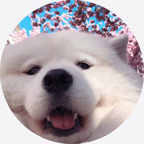 SoloTo profile picture for @euro