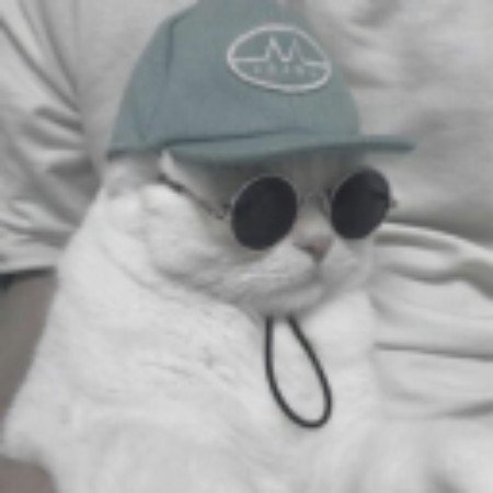 SoloTo profile picture for @sars