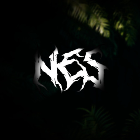 SoloTo profile picture for @nes
