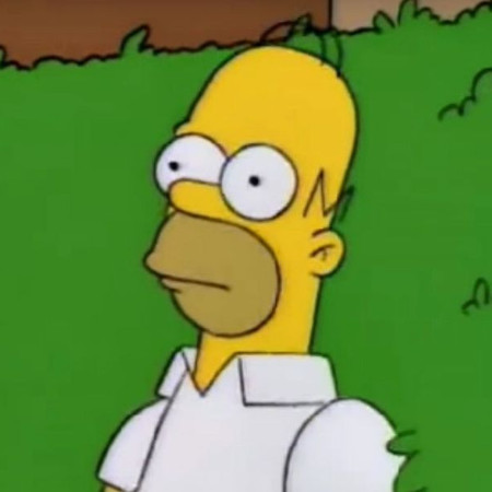 SoloTo profile picture for @homer