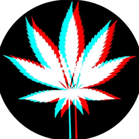SoloTo profile picture for @stoned