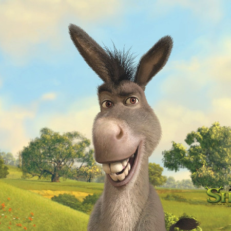 SoloTo profile picture for @donkey