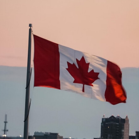 SoloTo profile picture for @canadian