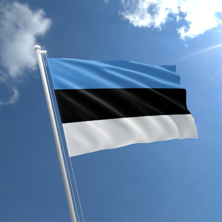 SoloTo profile picture for @estonia