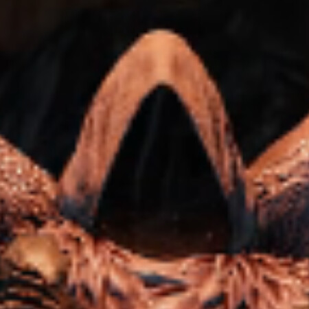 SoloTo profile picture for @trending
