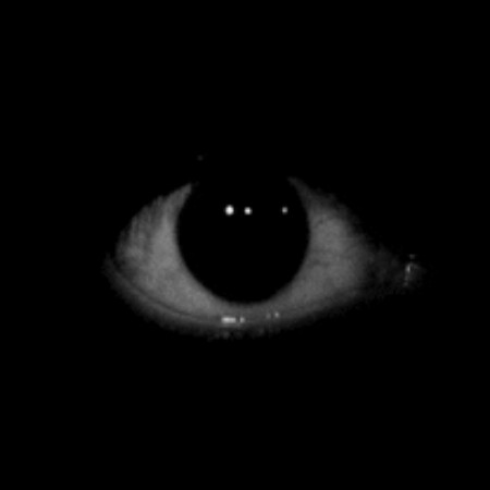 SoloTo profile picture for @dismal