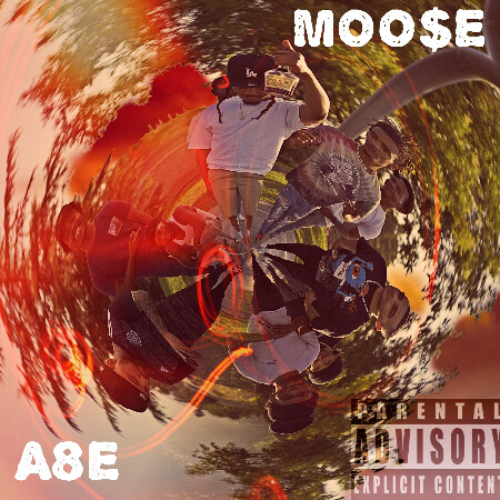SoloTo profile picture for @moose