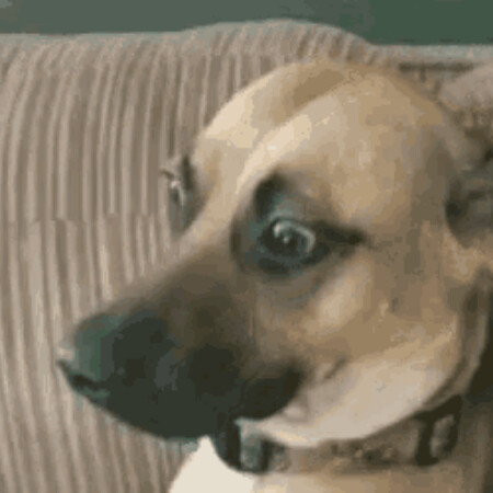 SoloTo profile picture for @pipes