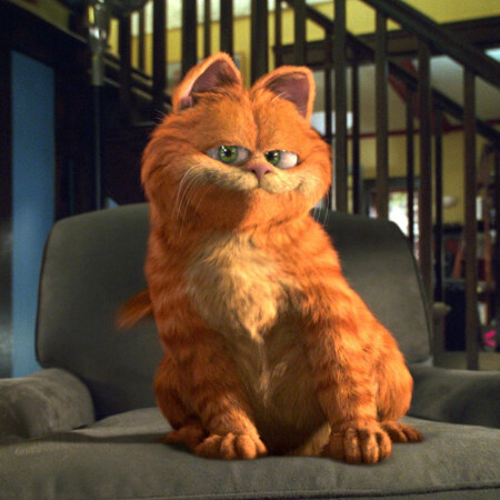 SoloTo profile picture for @garfield