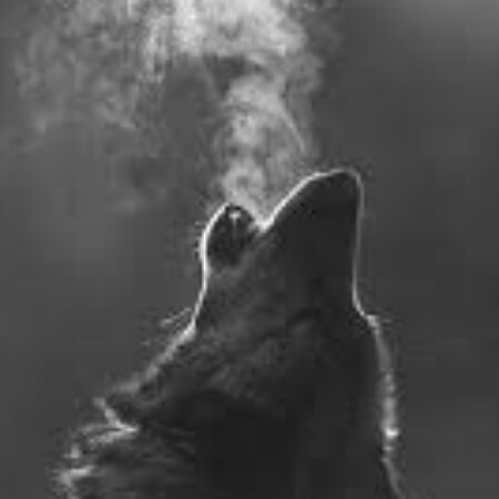 SoloTo profile picture for @infertile