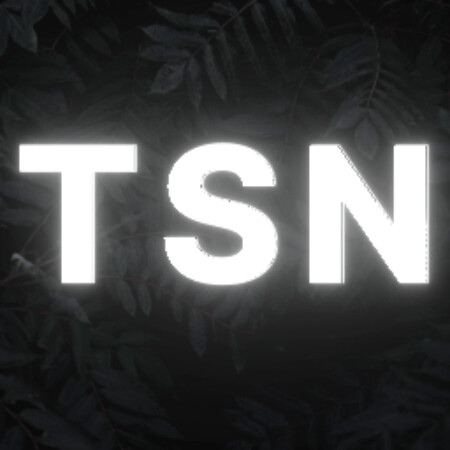 SoloTo profile picture for @tsn