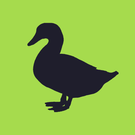 Duck Investments (/duckinvestments) · solo.to