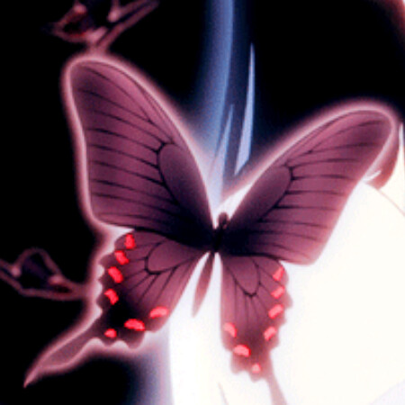 SoloTo profile picture for @cooks