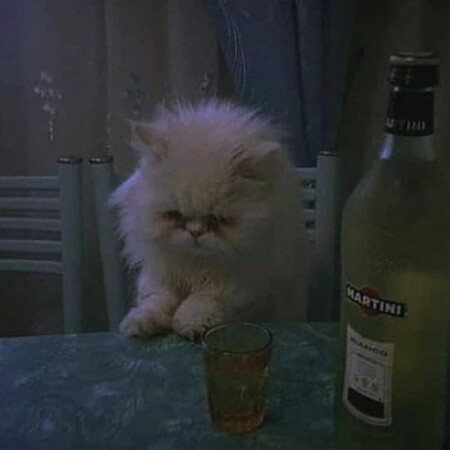 SoloTo profile picture for @firas