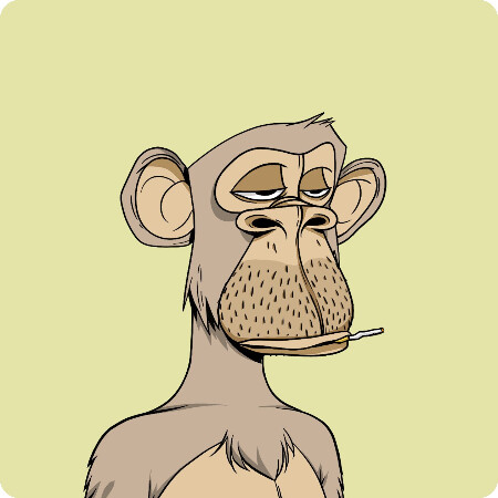 SoloTo profile picture for @bookmark
