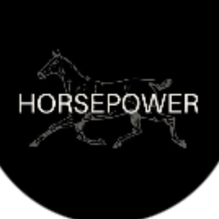 SoloTo profile picture for @horsepower
