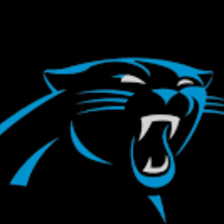 SoloTo profile picture for @panthers