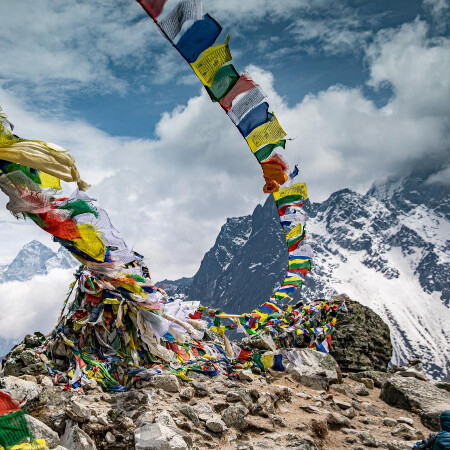 SoloTo profile picture for @tibet