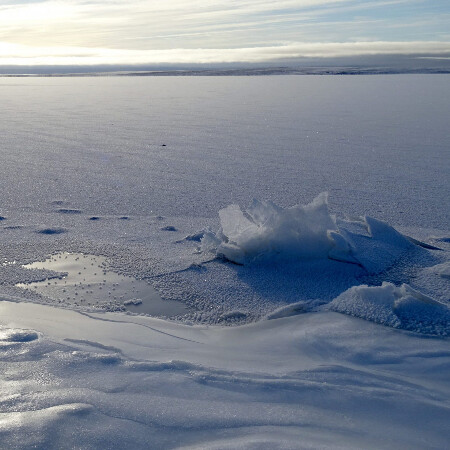 SoloTo profile picture for @nunavut
