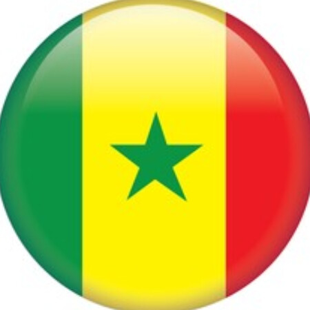 SoloTo profile picture for @senegal