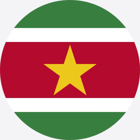 SoloTo profile picture for @suriname