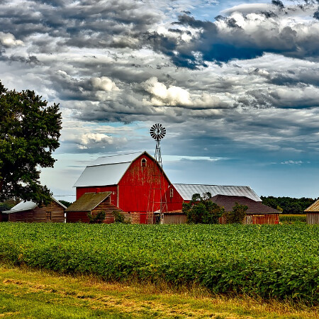 SoloTo profile picture for @wisconsin