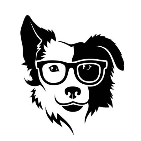 SoloTo profile picture for @smartdog