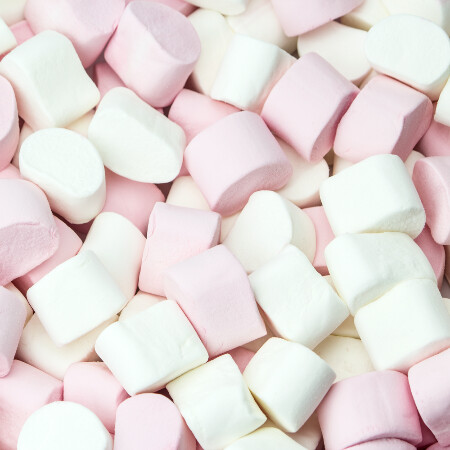 SoloTo profile picture for @marshmallows
