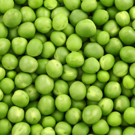 SoloTo profile picture for @peas