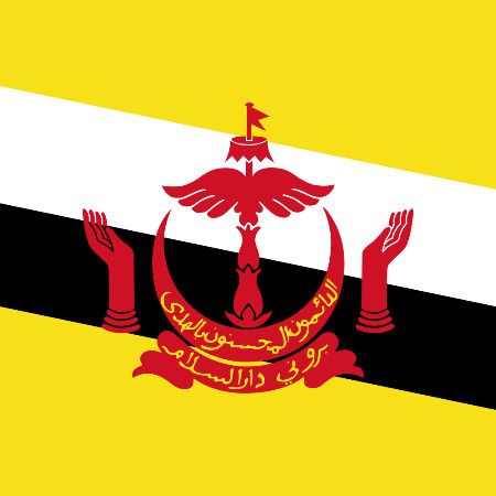 SoloTo profile picture for @brunei