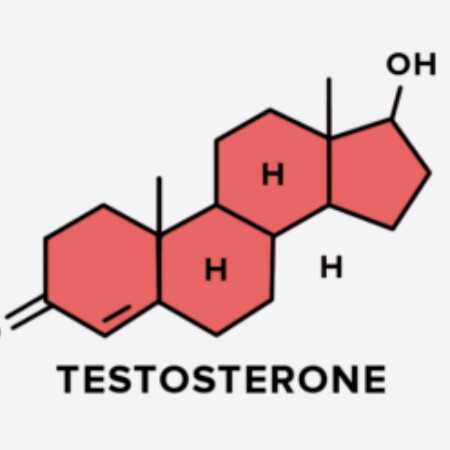 SoloTo profile picture for @testosterone