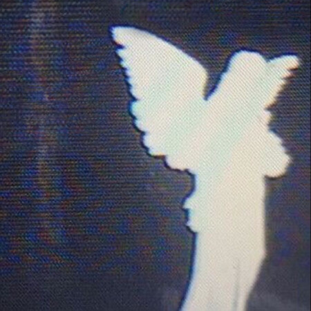 SoloTo profile picture for @cowgirl