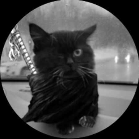 SoloTo profile picture for @carlton