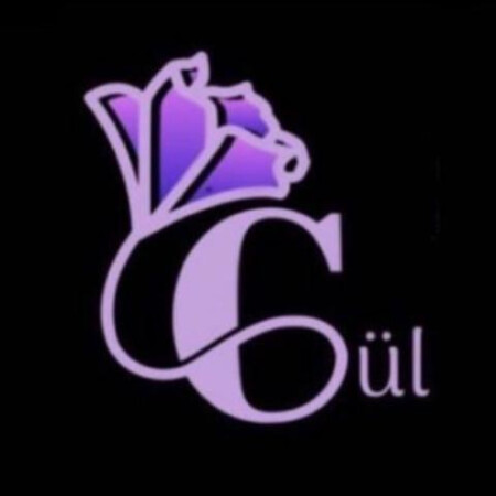 SoloTo profile picture for @gul