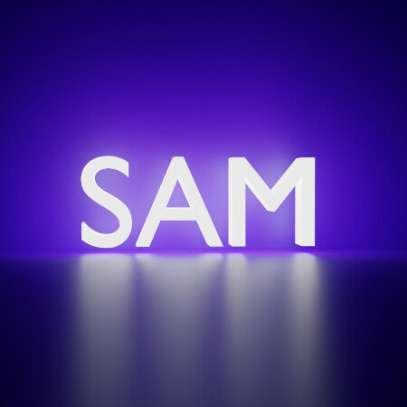SoloTo profile picture for @sam3d