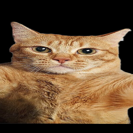 SoloTo profile picture for @unprepared