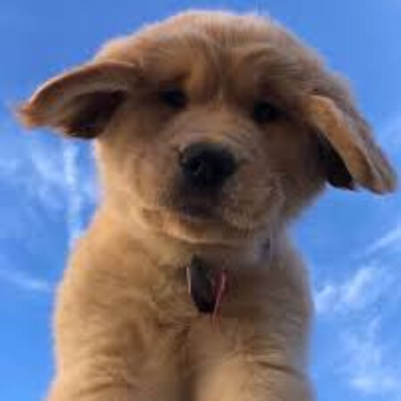 SoloTo profile picture for @exodus