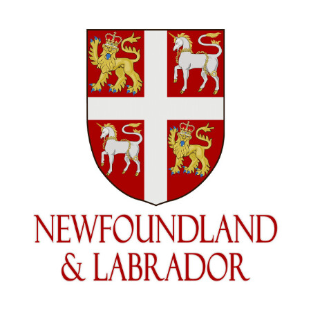SoloTo profile picture for @newfoundland